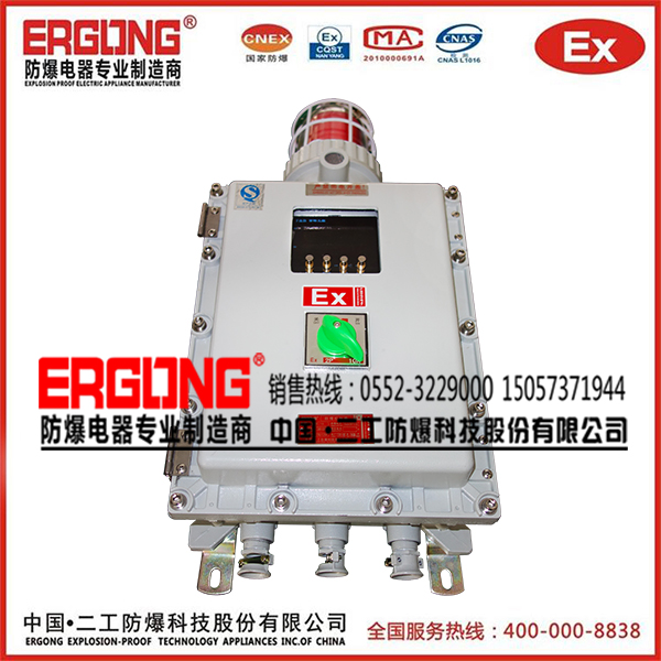 專業生產防爆儀表箱