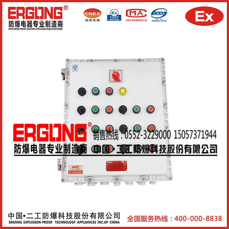 管廊項目防爆配電箱二工防爆定制