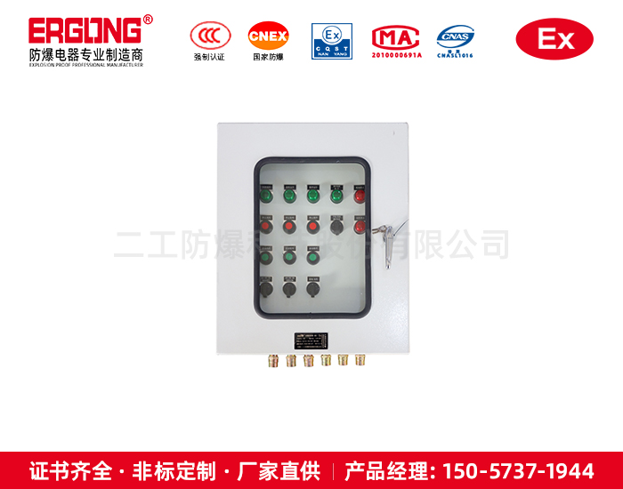 二工非標(biāo)訂做防爆箱