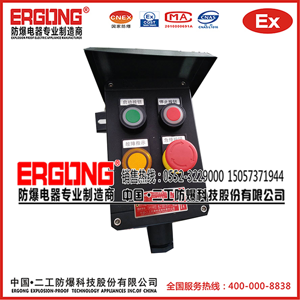 非標定制防爆操作柱（帶防雨罩）